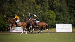 Polo game (2)